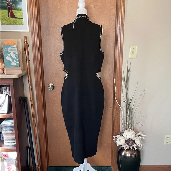 Elegant Sleeveless, Sweater Maxi by Express - Picture 13 of 17